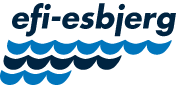 EFI Logo
